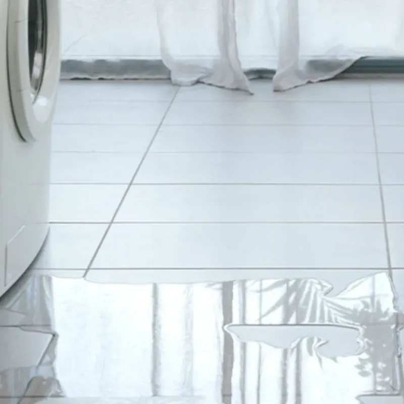 Appliance Leak Cleanup in Richmond, KY