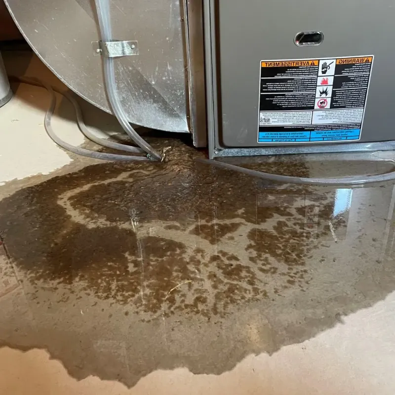 Pipe Burst and Leak Restoration in Richmond, KY