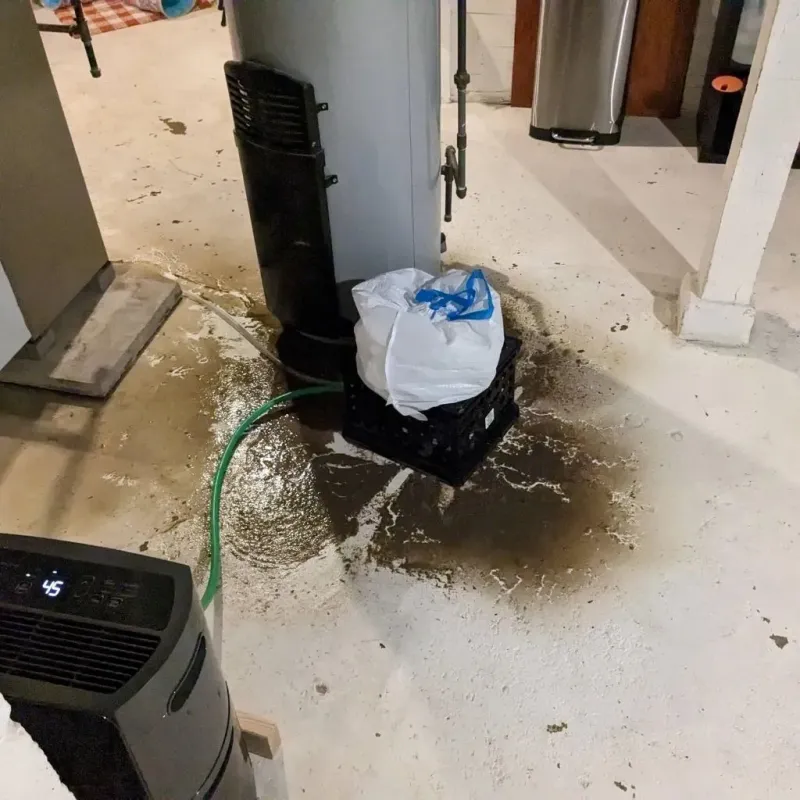 Sewage Backup Cleanup Service in Richmond, KY